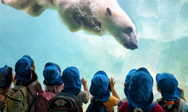 Viewer Experience. A new UX is here