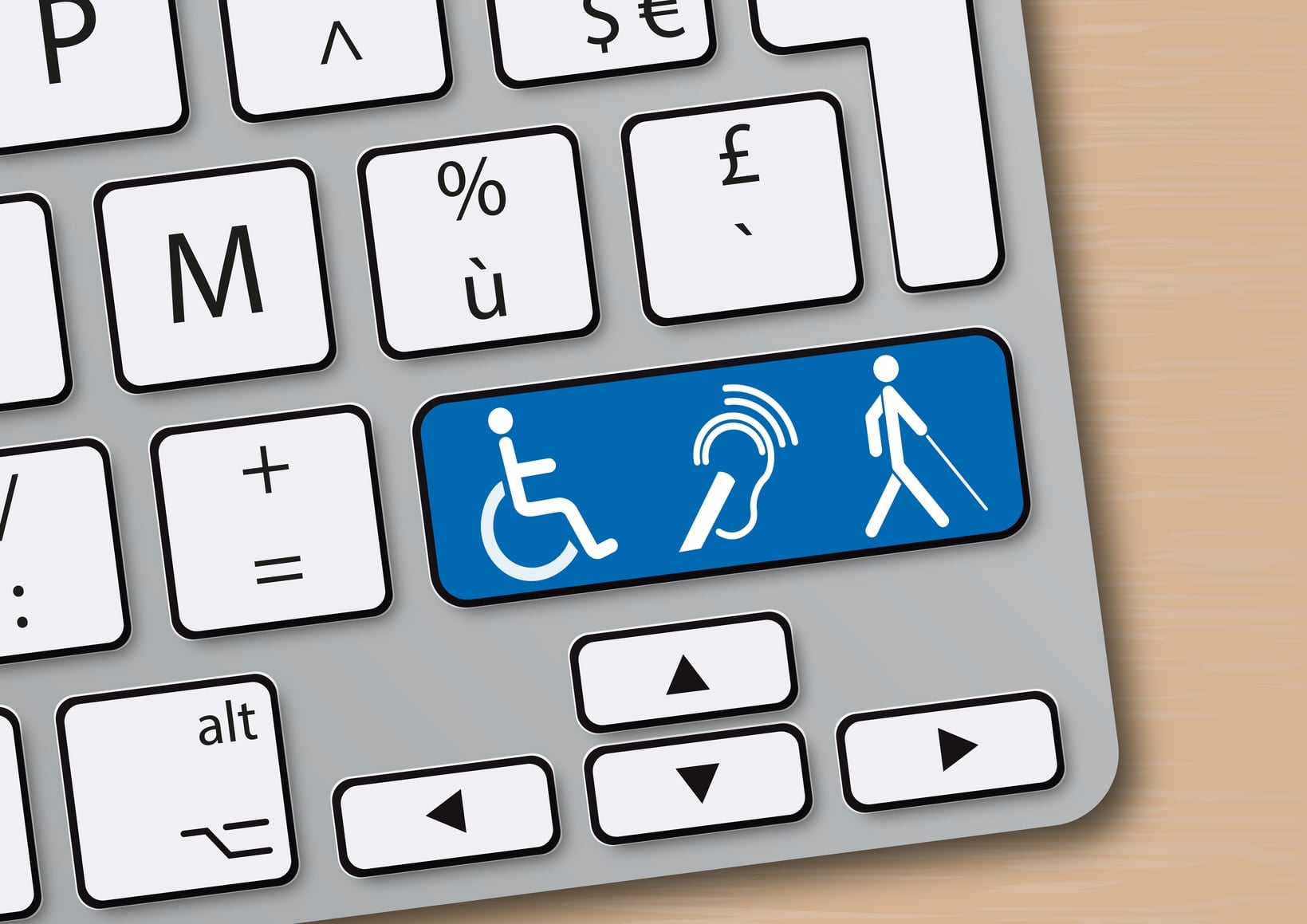 ADA WCAG website accessibility